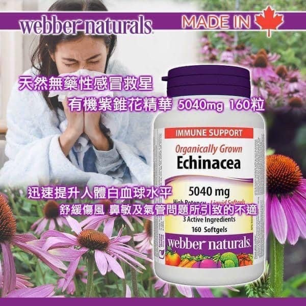 WEBBER NATURALS - Echinacea 有機紫錐花精華 5040mg (160粒)